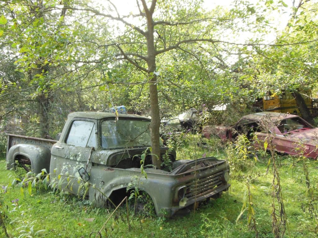Stark wrecking yard, Dayton OH